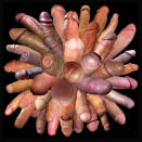 �Un mont�n de colas!